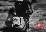 Standbild Einheimische Nomaden der Altai Berge Zentralasien, 1944, aus Sekunde 14 historischem Filmmaterial Videoclip 65675047134