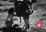 Standbild Einheimische Nomaden der Altai Berge Zentralasien, 1944, aus Sekunde 16 historischem Filmmaterial Videoclip 65675047134