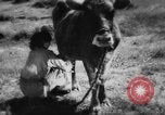 Standbild Einheimische Nomaden der Altai Berge Zentralasien, 1944, aus Sekunde 17 historischem Filmmaterial Videoclip 65675047134