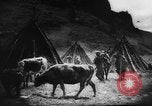 Standbild Einheimische Nomaden der Altai Berge Zentralasien, 1944, aus Sekunde 38 historischem Filmmaterial Videoclip 65675047134