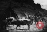 Standbild Einheimische Nomaden der Altai Berge Zentralasien, 1944, aus Sekunde 39 historischem Filmmaterial Videoclip 65675047134