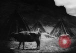 Standbild Einheimische Nomaden der Altai Berge Zentralasien, 1944, aus Sekunde 43 historischem Filmmaterial Videoclip 65675047134