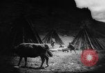 Standbild Einheimische Nomaden der Altai Berge Zentralasien, 1944, aus Sekunde 44 historischem Filmmaterial Videoclip 65675047134
