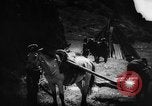 Standbild Einheimische Nomaden der Altai Berge Zentralasien, 1944, aus Sekunde 47 historischem Filmmaterial Videoclip 65675047134