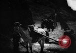Standbild Einheimische Nomaden der Altai Berge Zentralasien, 1944, aus Sekunde 48 historischem Filmmaterial Videoclip 65675047134