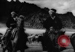 Standbild Rinder in den Feldern Zentralasien, 1944, aus Sekunde 38 historischem Filmmaterial Videoclip 65675047135