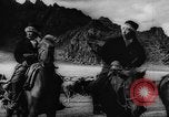 Standbild Rinder in den Feldern Zentralasien, 1944, aus Sekunde 39 historischem Filmmaterial Videoclip 65675047135