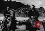 Standbild Rinder in den Feldern Zentralasien, 1944, aus Sekunde 40 historischem Filmmaterial Videoclip 65675047135