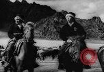 Standbild Rinder in den Feldern Zentralasien, 1944, aus Sekunde 41 historischem Filmmaterial Videoclip 65675047135