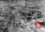 Image of German troops invade Grodno Grodno Poland, 1941, second 48 stock footage video 65675047139