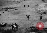 Immagine di Truppe tedesche Fronte orientale teatro europeo, 1941, secondo 14 filmato di repertorio 65675047140
