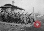 Image of Czech Legion and Imperial Japanese Army in Siberian Intervention Russia, 1918, second 9 stock footage video 65675047142