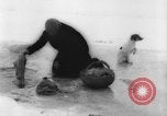 Image of refugees Siberia Russia, 1918, second 3 stock footage video 65675047161
