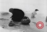 Image of refugees Siberia Russia, 1918, second 7 stock footage video 65675047161