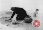 Image of refugees Siberia Russia, 1918, second 10 stock footage video 65675047161