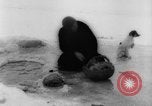 Image of refugees Siberia Russia, 1918, second 14 stock footage video 65675047161