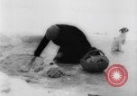 Image of refugees Siberia Russia, 1918, second 20 stock footage video 65675047161