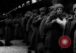 Image Allied Expeditionary Forces Sibérie Russie, 1918, de la seconde 41 séquences d'archives historiques vidéo 65675047162