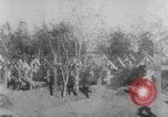 Image of graves of Allied soldiers Russia, 1918, second 4 stock footage video 65675047168