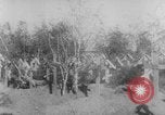 Image of graves of Allied soldiers Russia, 1918, second 5 stock footage video 65675047168