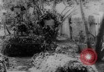 Image of graves of Allied soldiers Russia, 1918, second 36 stock footage video 65675047168