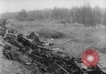 Image of Allied Expeditionary Forces Russia, 1918, second 29 stock footage video 65675047169