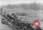 Image of Allied Expeditionary Forces Russia, 1918, second 30 stock footage video 65675047169
