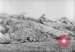 Image of Allied Expeditionary Forces Russia, 1918, second 46 stock footage video 65675047169