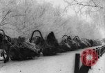 Image of Allied Expeditionary Forces Russia, 1918, second 48 stock footage video 65675047170