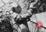 Standbild Henry ein Wallace Russland, 1941, aus Sekunde 60 historischem Filmmaterial Videoclip 65675047174