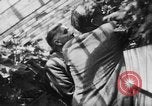 Standbild Henry ein Wallace Russland, 1941, aus Sekunde 62 historischem Filmmaterial Videoclip 65675047174