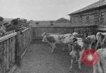 Image Henry un Wallace en Asie centrale, 1941, de la seconde 30 séquences d'archives historiques vidéo 65675047176