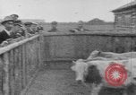 Image Henry un Wallace en Asie centrale, 1941, de la seconde 37 séquences d'archives historiques vidéo 65675047176