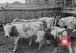 Image Henry un Wallace en Asie centrale, 1941, de la seconde 38 séquences d'archives historiques vidéo 65675047176