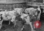 Image Henry un Wallace en Asie centrale, 1941, de la seconde 39 séquences d'archives historiques vidéo 65675047176