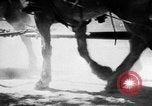 Image of German troops enter Kaunas, Lithuania Kaunas Lithuania, 1941, second 40 stock footage video 65675047184