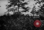 Immagine di Le forze tedesche su offensiva in Lettonia Lettonia, 1941, secondo 56 filmato di repertorio 65675047186