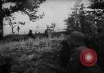 Immagine di Le forze tedesche su offensiva in Lettonia Lettonia, 1941, secondo 59 filmato di repertorio 65675047186