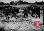Image of Operation Barbarossa Bialystock Belorussia, 1941, second 12 stock footage video 65675047187