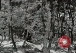 Standbild psychologische Kriegsführung Korea, 1954, aus Sekunde 32 historischem Filmmaterial Videoclip 65675047190