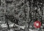 Standbild psychologische Kriegsführung Korea, 1954, aus Sekunde 33 historischem Filmmaterial Videoclip 65675047190