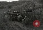 Image of psychological warfare Korea, 1951, second 36 stock footage video 65675047191