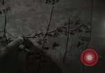 Image of psychological warfare team Korea, 1951, second 42 stock footage video 65675047193