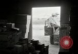 Immagine di La guerra psicologica Corea, 1951, secondo 57 filmato di repertorio 65675047194