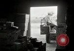 Immagine di La guerra psicologica Corea, 1951, secondo 59 filmato di repertorio 65675047194