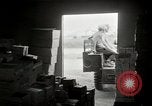 Immagine di La guerra psicologica Corea, 1951, secondo 60 filmato di repertorio 65675047194
