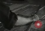Image of psychological warfare team Korea, 1951, second 28 stock footage video 65675047196