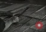 Image of psychological warfare team Korea, 1951, second 29 stock footage video 65675047196