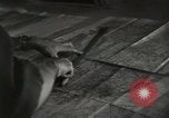 Image of psychological warfare team Korea, 1951, second 32 stock footage video 65675047196