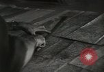Image of psychological warfare team Korea, 1951, second 33 stock footage video 65675047196